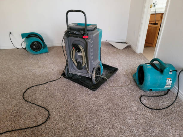Best Water damage restoration near me  in Cutlerville, MI
