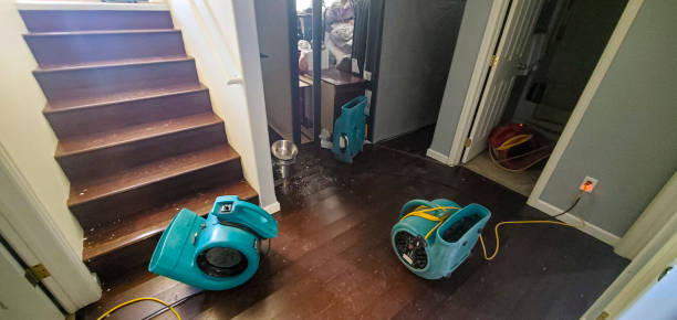 Best Flood restoration services  in Cutlerville, MI