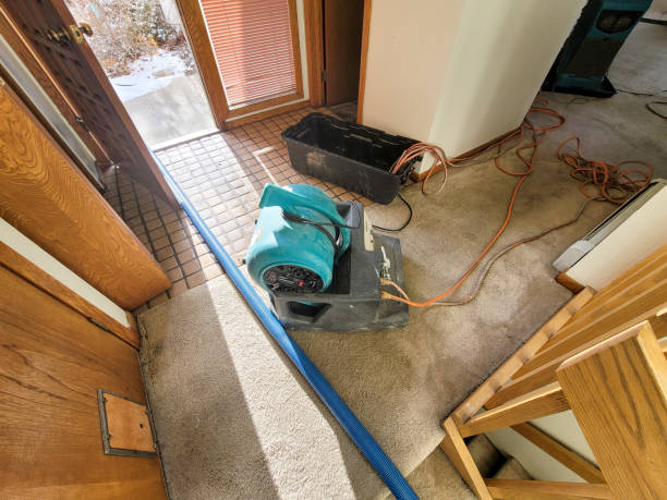 Best Water damage restoration process  in Cutlerville, MI