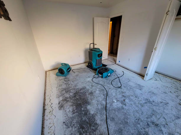 Best Emergency water damage restoration  in Cutlerville, MI