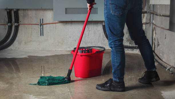 Best Water damage cleanup near me  in Cutlerville, MI
