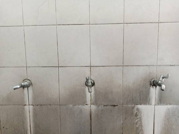Water damage restoration experts in MI