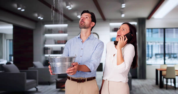 Best Carpet water damage restoration  in Cutlerville, MI