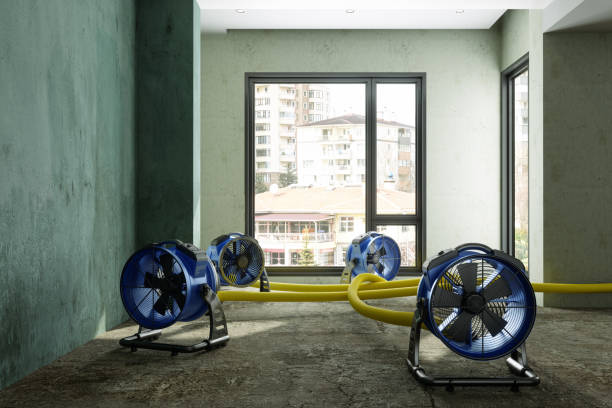 Best Ceiling water damage repair  in Cutlerville, MI